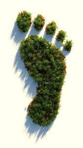 Carbon Footprint | Carbon Neutrality