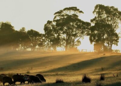 EU’s Law Change: Banning Greenwashing to Promote Transparency