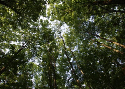 CSRD: What Are The New Changes?