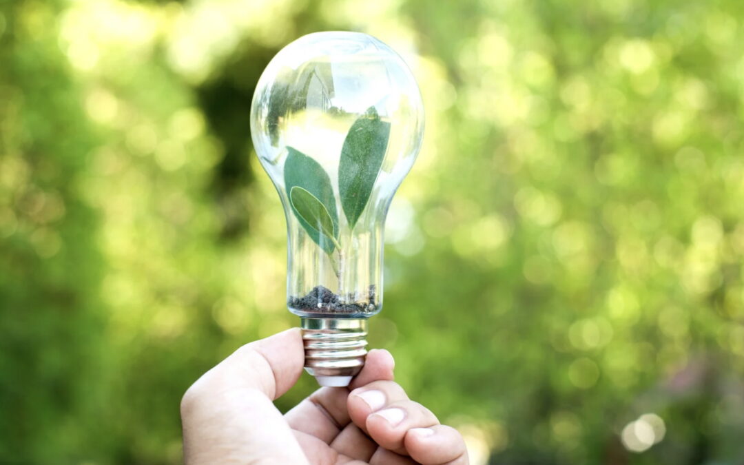 Our Favourite Energy Saving Project