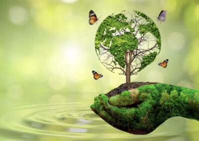 5 Most Common Questions About EPDs, Answered