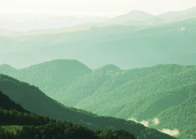 Science Based Targets: Expert Answers Your Key Questions