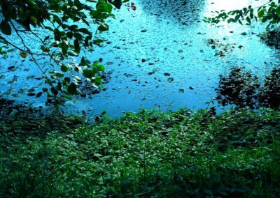 SECR: The Most Common Mistakes And How To Avoid Them