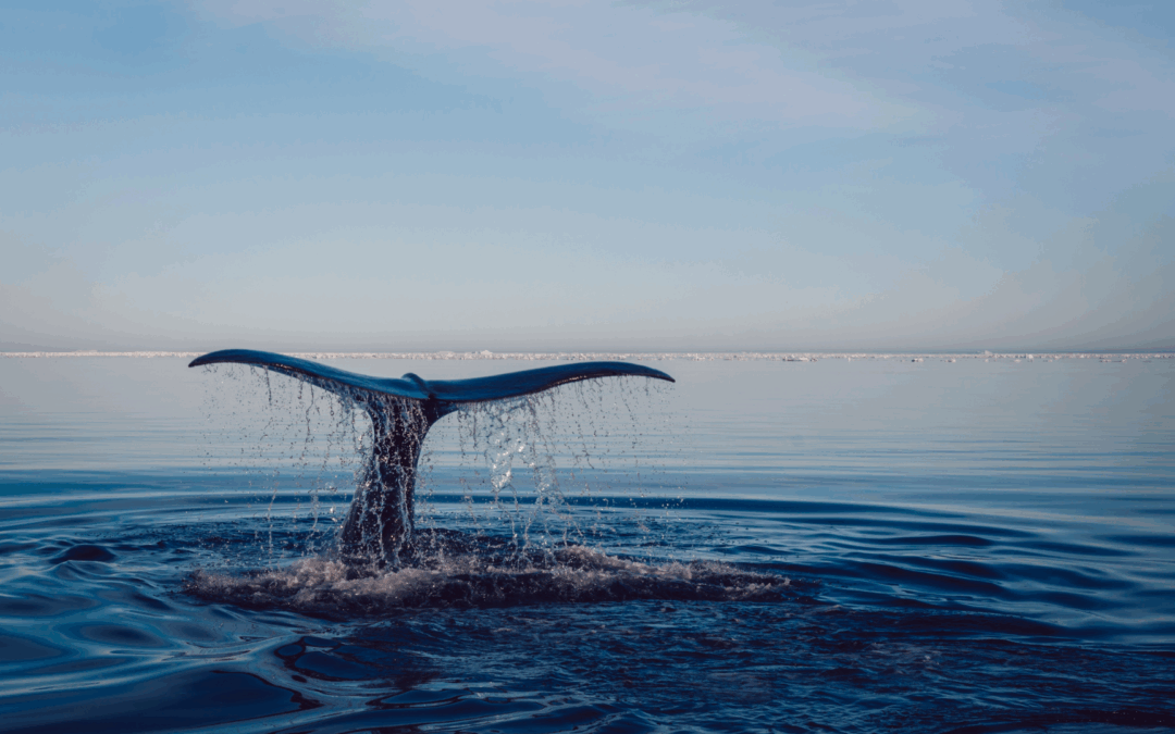 Sir David Attenborough Turns 99: Why His Message Matters To Every Business