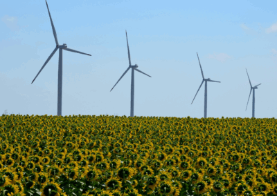 Using Carbon Intensities For Growing Companies