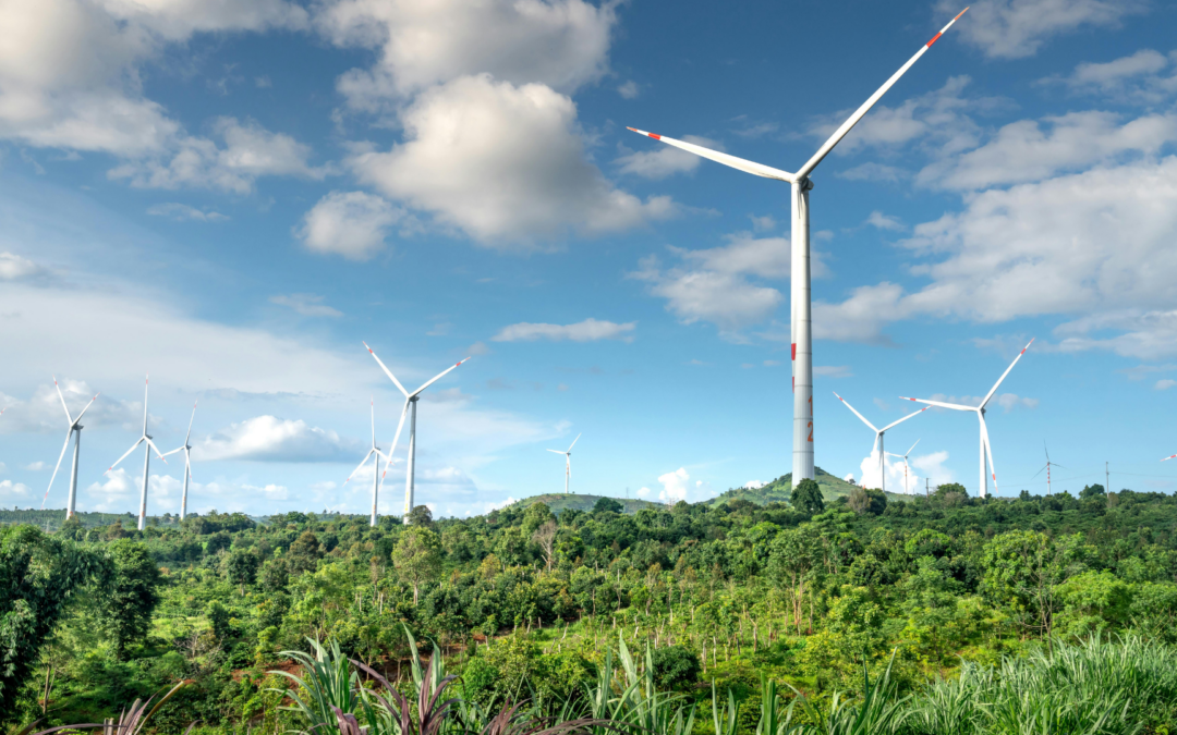 SECR Software vs Carbon Accounting Platforms: Which Should UK Manufacturers Choose?